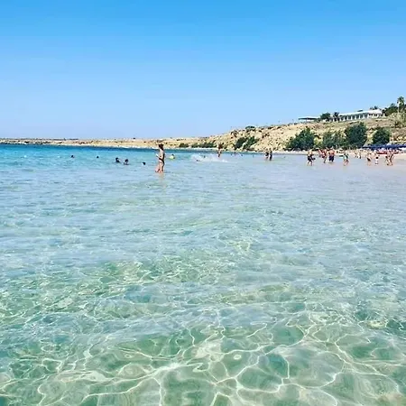 Sea Life ゲストハウス テッラジーニ