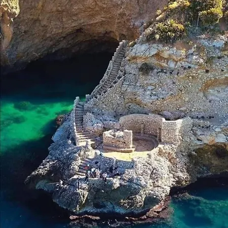 Sea Life テッラジーニ