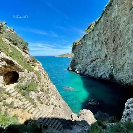 Sea Life ゲストハウス 3*